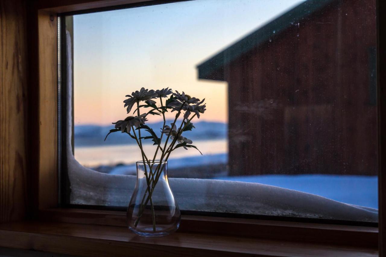 Lake Thingvellir Cottages Blaskogabyggd Екстер'єр фото